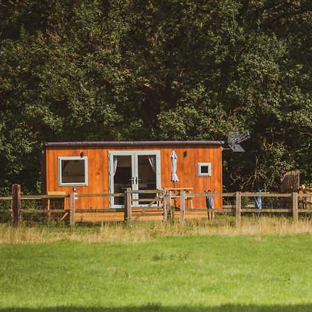 Corsley The Hideaway At Hiddenwood Glamping酒店 外观 照片